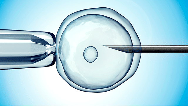 Basic IVF Treatment Cost in Thailand 