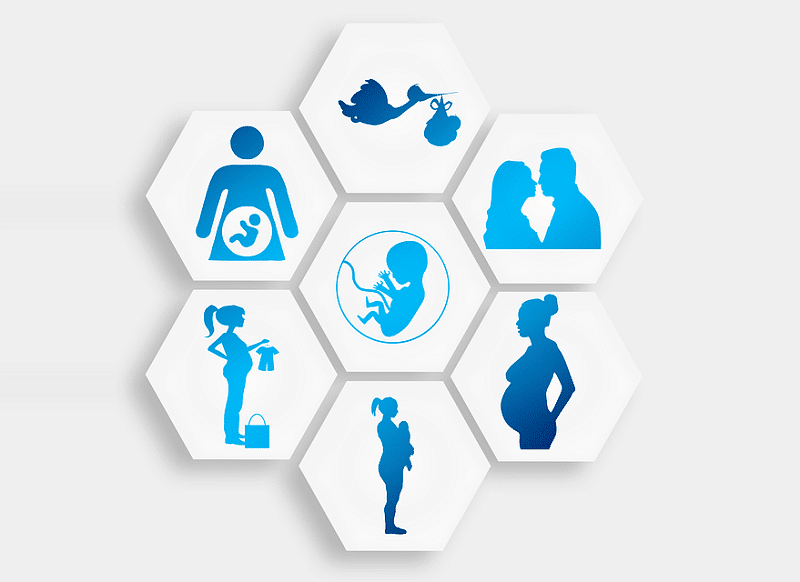 IVF Procedure Chennai 2021 How IVF Work In Chennai Step By Step