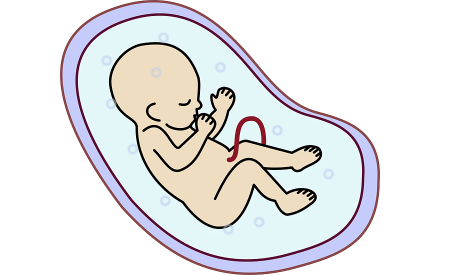 embryo donation cost in Kolkata 2019