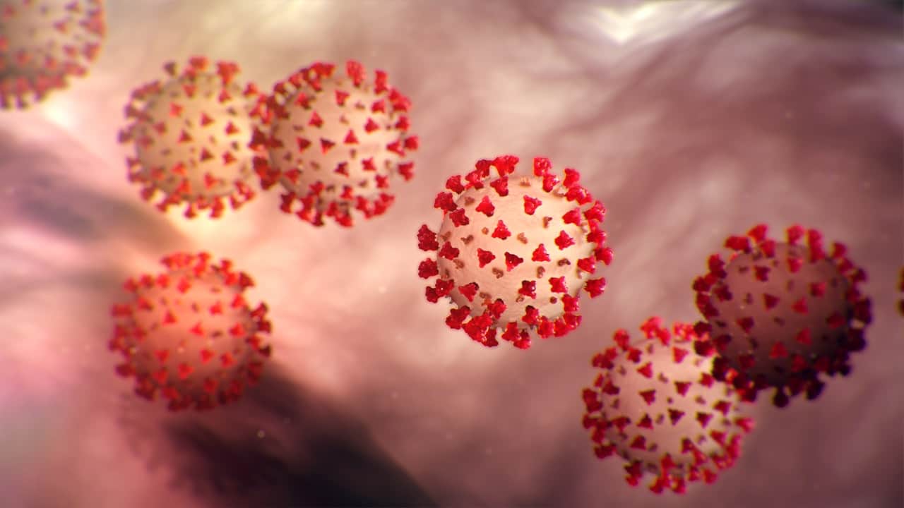 About Corona Virus 2019 – COVID – 19 and Precautions