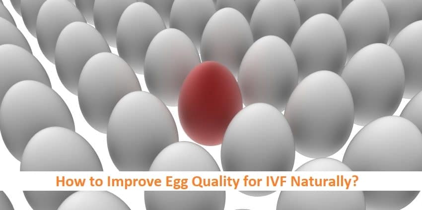 How to Improve Egg Quality for IVF Naturally?