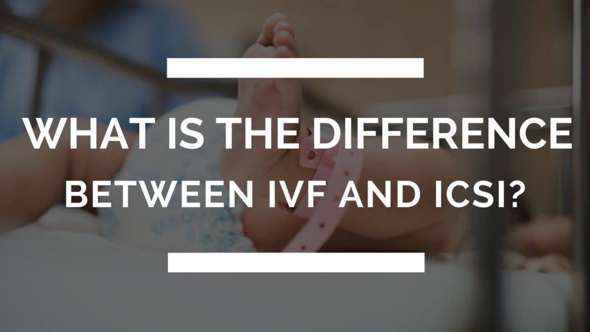 difference between ICSI and IVF