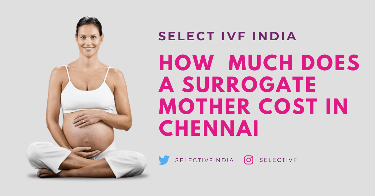 surrogate mother cost in chennai