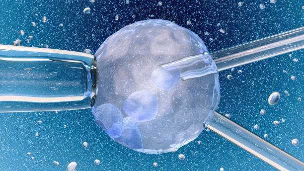 Advanced IVF Treatment in India
ivf treatment cost in india
best ivf doctor in india
best ivf centre in india 