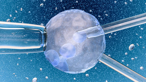Advanced IVF Treatment in India
ivf treatment cost in india
best ivf doctor in india
best ivf centre in india