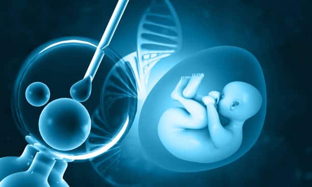 IVF Treatment in India
ivf treatment cost in india
best ivf doctor in india
best ivf centre in india
