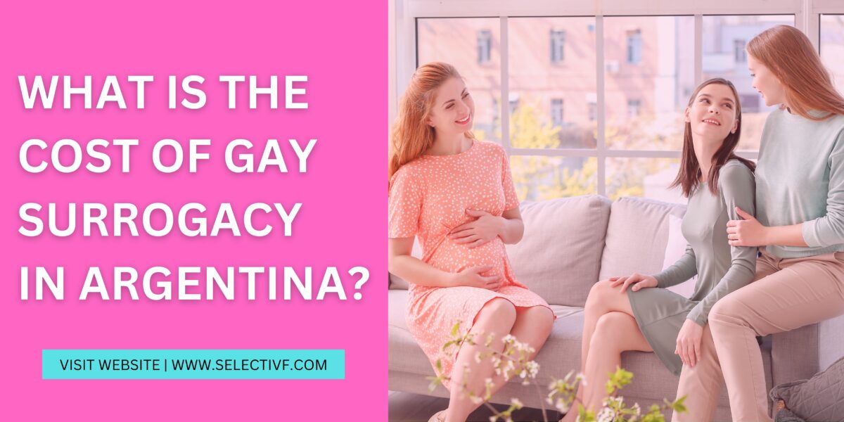 What is The Cost of Gay Surrogacy in Argentina 2023?