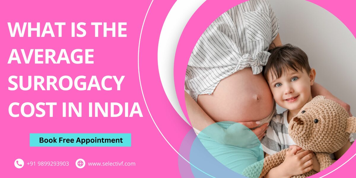 What Is the Average Surrogacy Cost in India in 2022