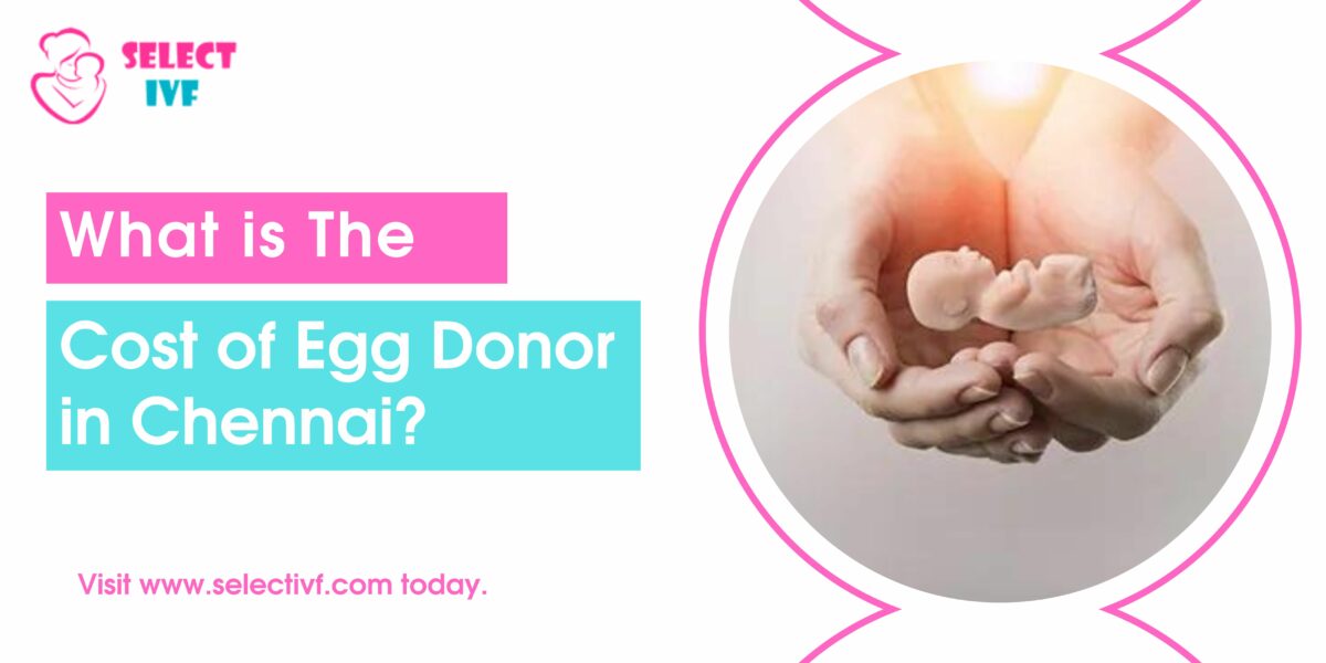What is The Cost of Egg Donor in Chennai?